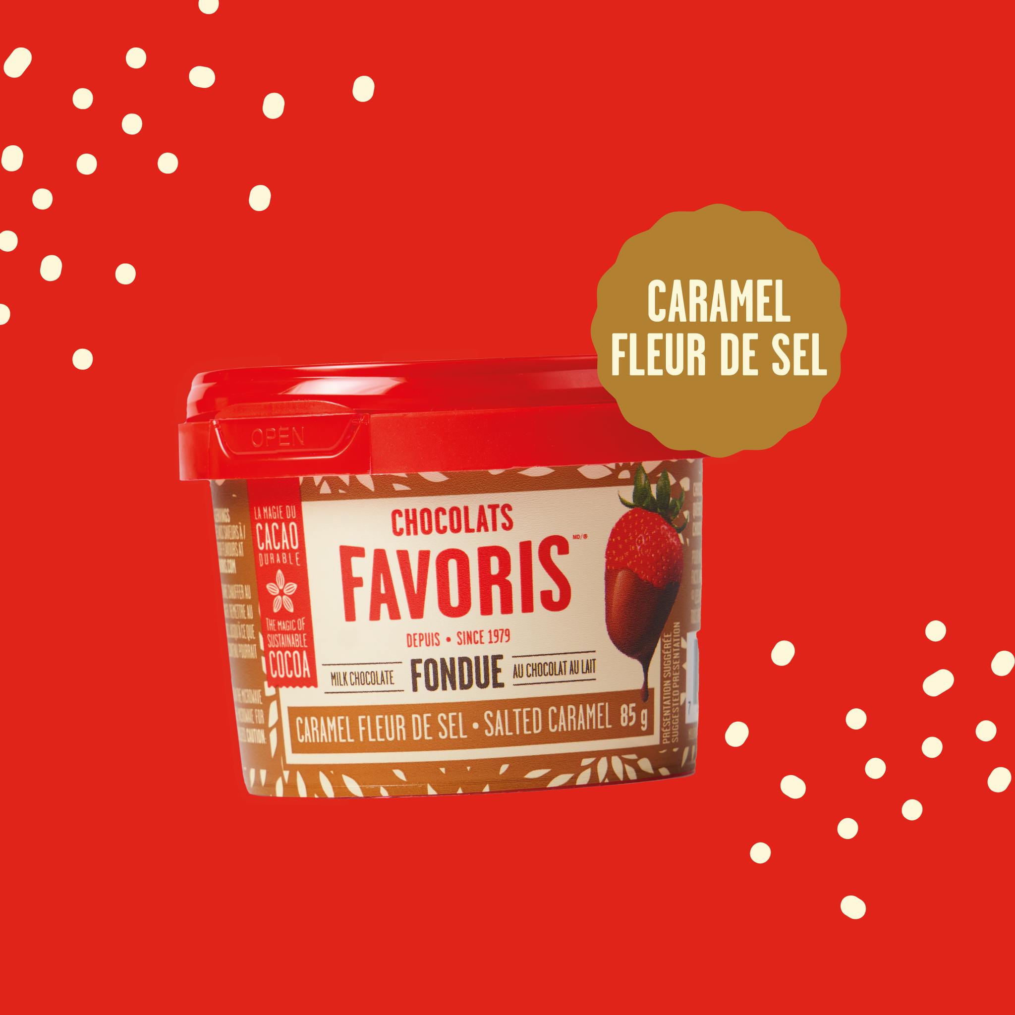 Mini chocolate fondue