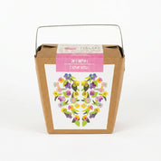 “I Love You” Garden Kit – Nemesia