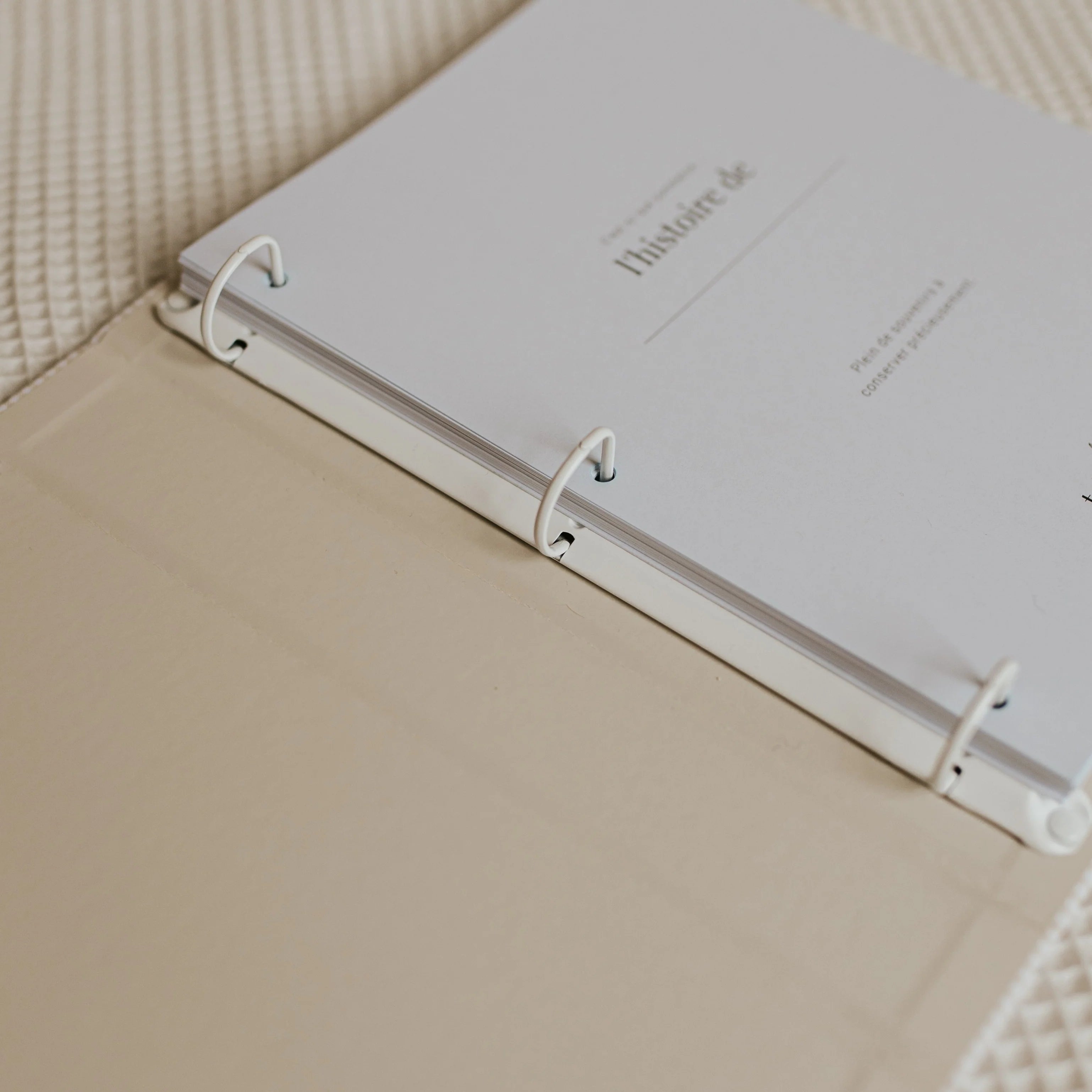 livre-naissance-beige-lepetittableaunoir.webp