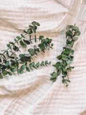 Branches d'eucalyptus de Le garde-fleurs
